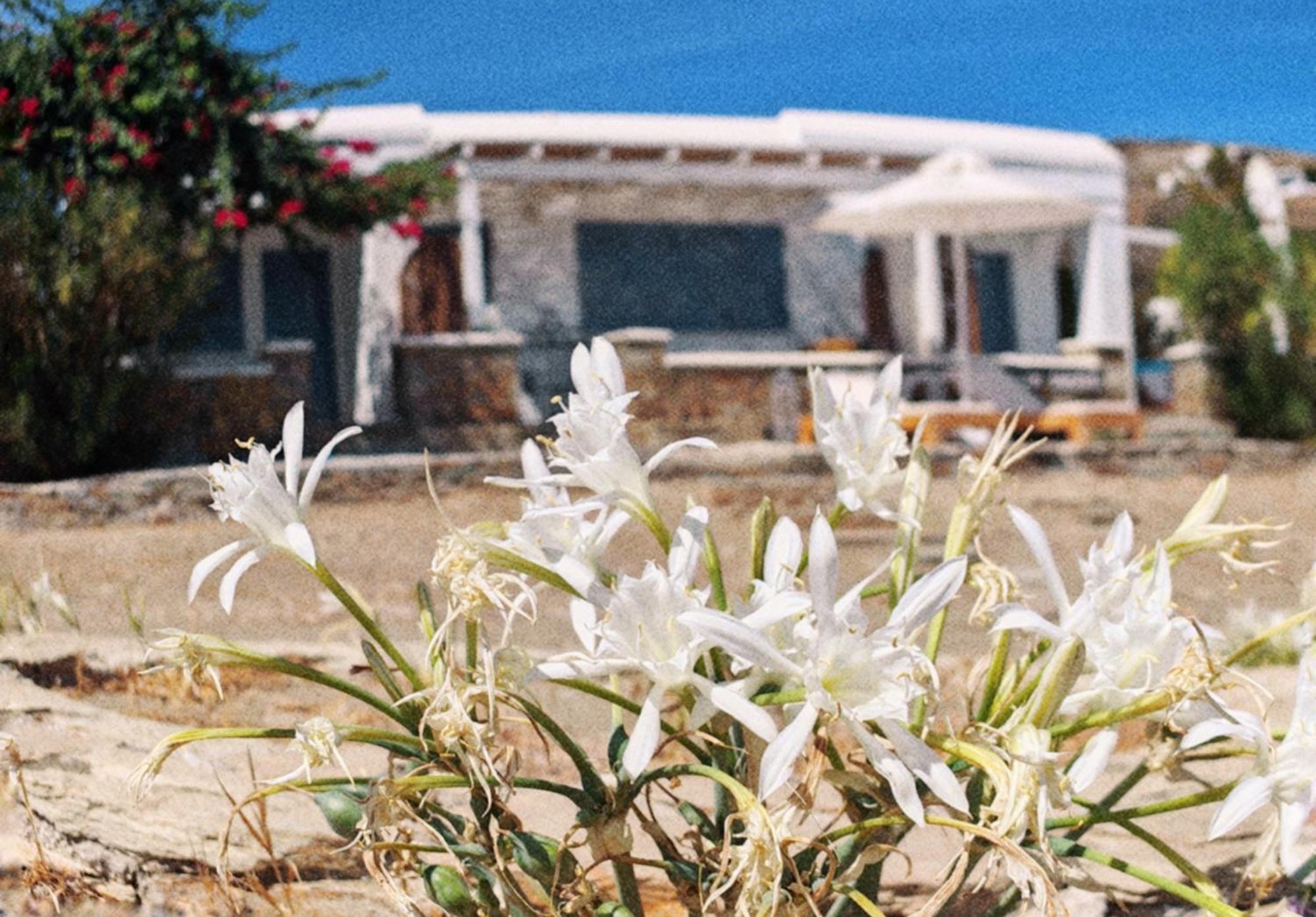 Diana's Luxury Hébergement de vacances Kíthnos